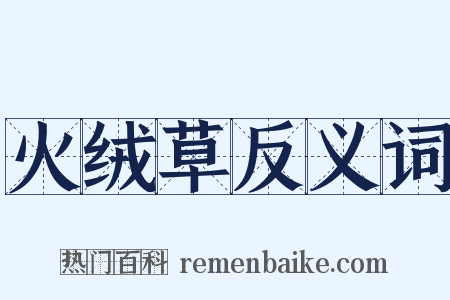 火绒草反义词是什么意思的图片